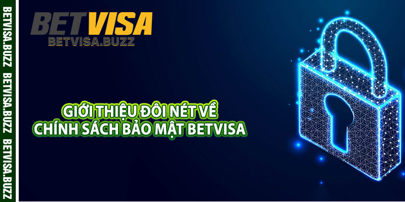 Giới thiệu đôi nét về chính sách bảo mật betvisa 
