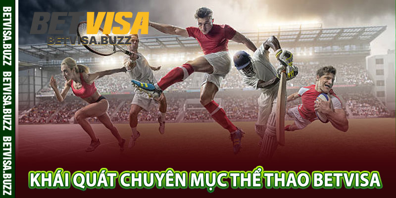 Khái quát chuyên mục thể thao betvisa 